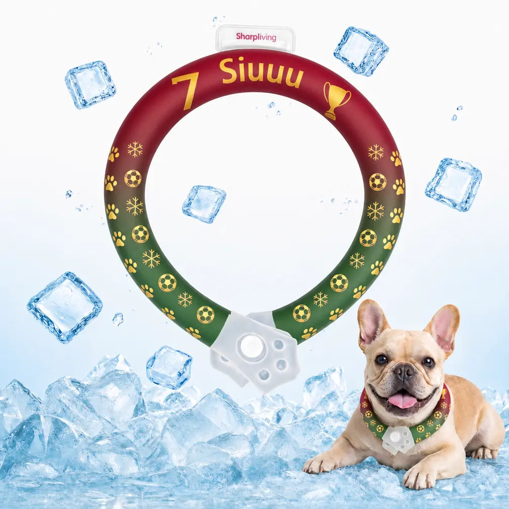 Keep Your Pets Cool This Summer with Our Advanced Reusable Pet Cooling Collar - Featuring a 64°F Ice Ring for Instant Heat Relief!
