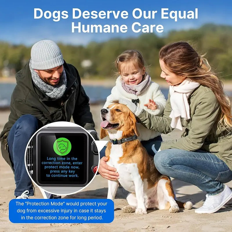 Wireless GPS Outdoor Dog Fence System with Perimeter Collar Training, IPX7 Waterproof, Beep, Vibration, and Shock Correction Features
