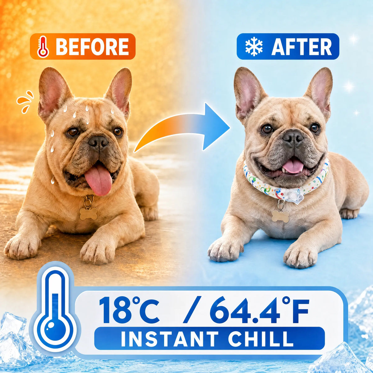 Keep Your Pets Cool This Summer with Our Advanced Reusable Pet Cooling Collar - Featuring a 64°F Ice Ring for Instant Heat Relief!