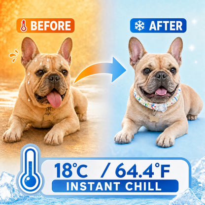 Keep Your Pets Cool This Summer with Our Advanced Reusable Pet Cooling Collar - Featuring a 64°F Ice Ring for Instant Heat Relief!