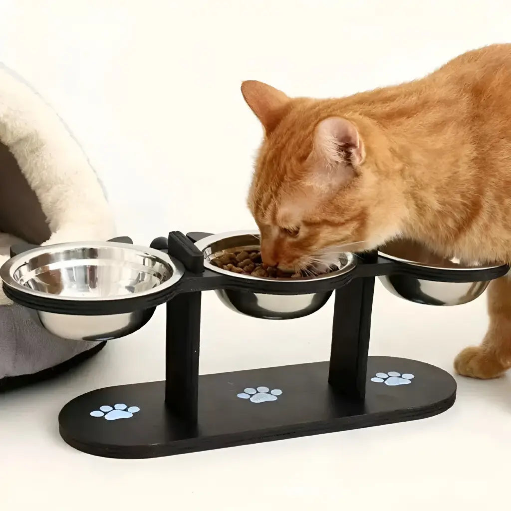 Elevated Pet Feeder with 15-Degree Tilted Bowls and Adjustable Height for Enhanced Comfort in Feeding