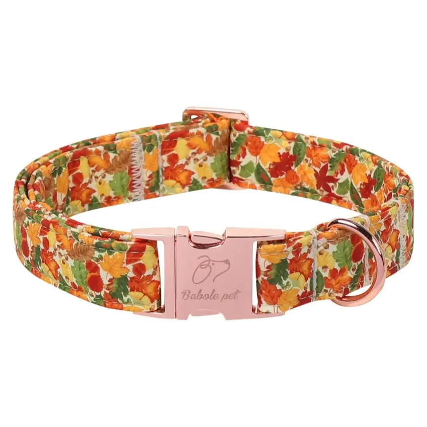 Fall Pumpkin Latte Themed Adjustable Heavy-Duty Small Dog Collar with Metal Buckle, XS Size