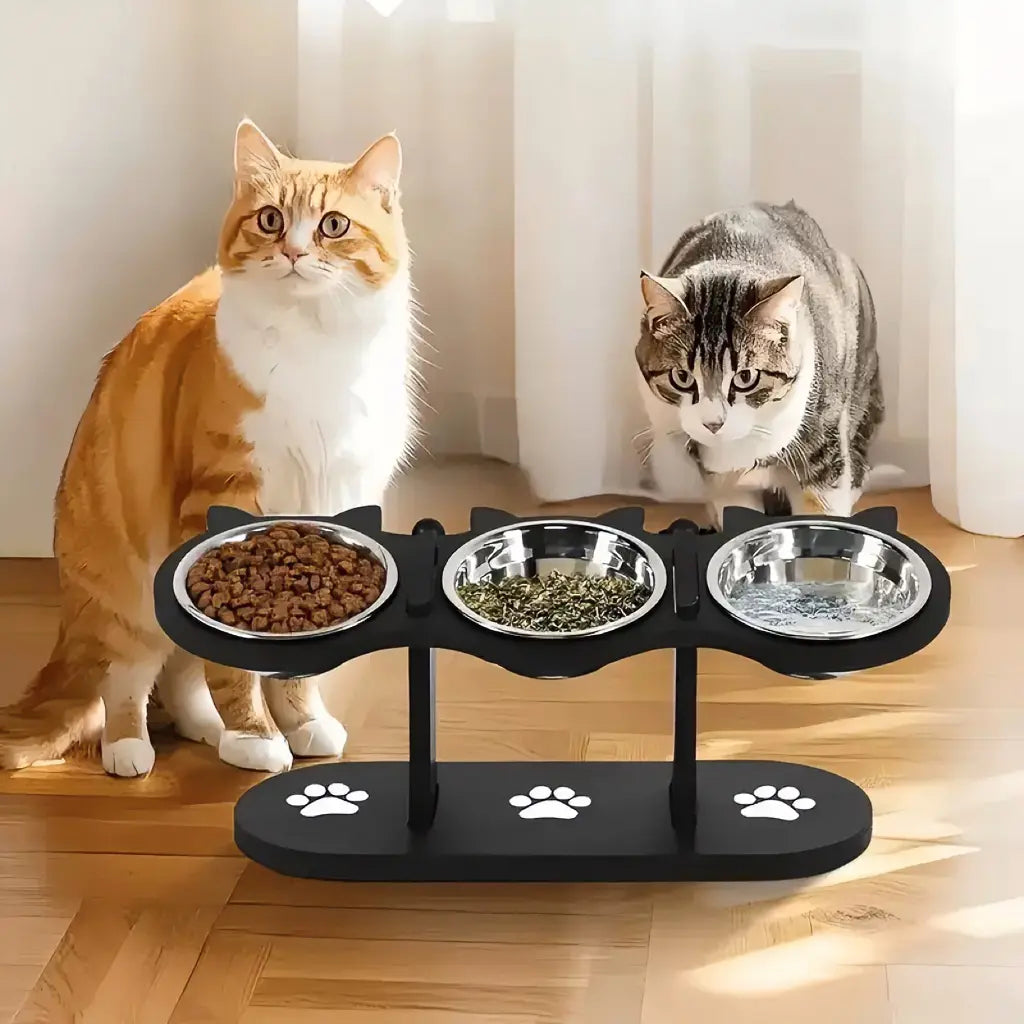 Elevated Pet Feeder with 15-Degree Tilted Bowls and Adjustable Height for Enhanced Comfort in Feeding