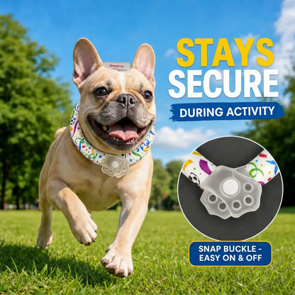Keep Your Pets Cool This Summer with Our Advanced Reusable Pet Cooling Collar - Featuring a 64°F Ice Ring for Instant Heat Relief!